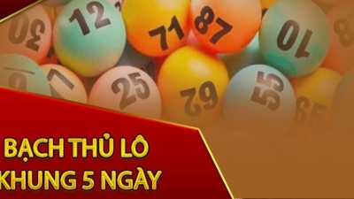 Bạch thủ lô nuôi khung 5 ngày chuẩn xác nhất hiện nay