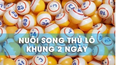 Song thủ lô nuôi khung 2 ngày siêu chuẩn, miễn phí, 100% ăn thưởng