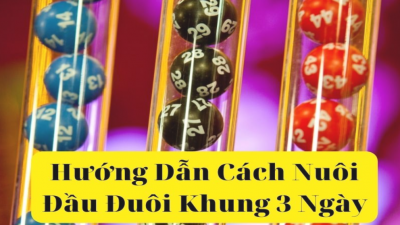 Nuôi đầu đuôi khung 3 ngày chắc chắn thành công