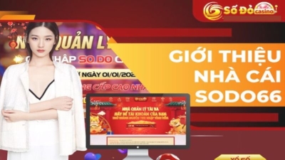 Sodo - nhà cái uy tín đăng ký liền tay nhận ngay khuyến mãi hot