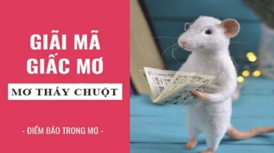 Mơ thấy chuột - Điềm báo thú vị và con số mang về lợi nhuận